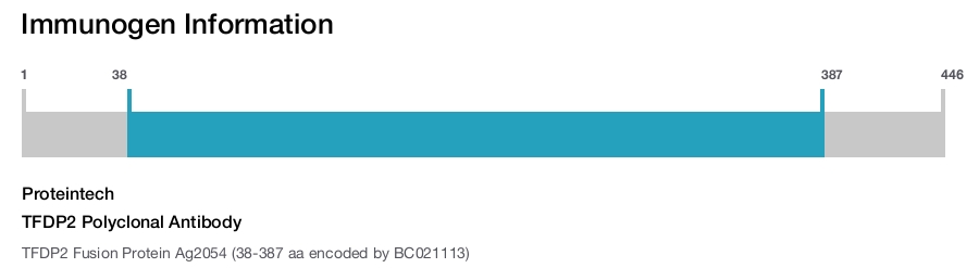 TFDP2 Polyclonal Antibody