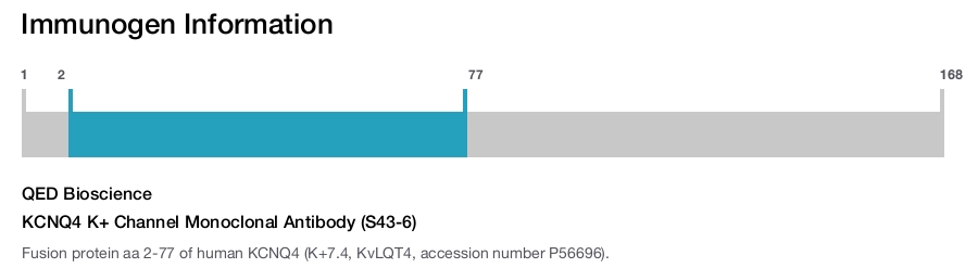 KCNQ4 K+ Channel Monoclonal Antibody (S43-6)