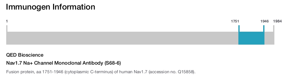 Nav1.7 Na+ Channel Monoclonal Antibody (S68-6)