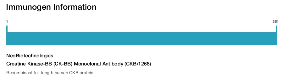 Creatine Kinase-BB (CK-BB) Monoclonal Antibody (CKB/1268)