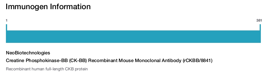 Creatine Phosphokinase-BB (CK-BB) Recombinant Mouse Monoclonal Antibody (rCKBB/8841)