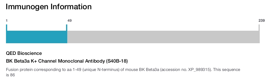 BK Beta3a K+ Channel Monoclonal Antibody (S40B-18)