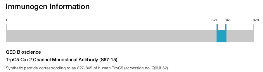 TrpC5 Ca+2 Channel Monoclonal Antibody (S67-15)