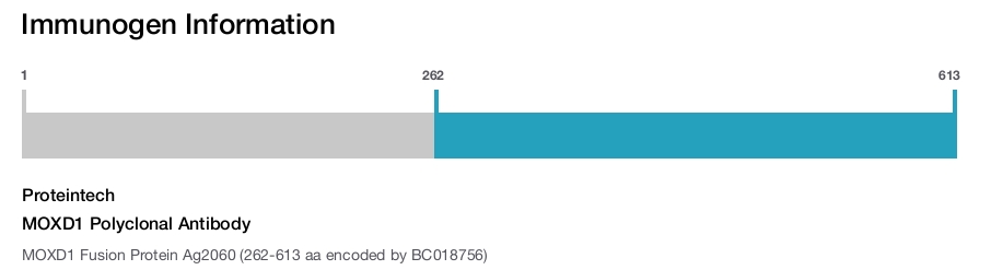 MOXD1 Polyclonal Antibody