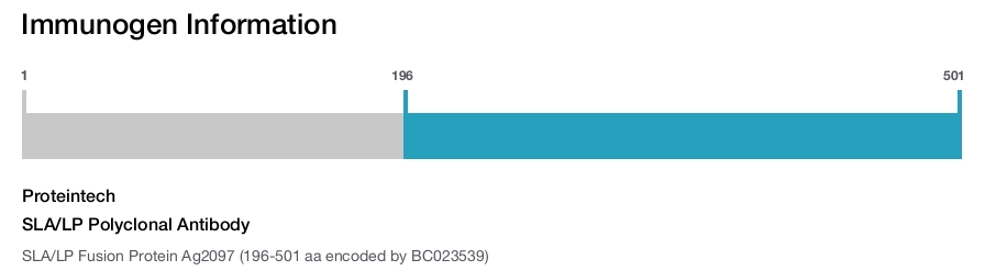 SLA/LP Polyclonal Antibody