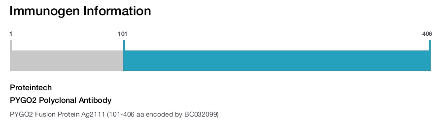 PYGO2 Polyclonal Antibody