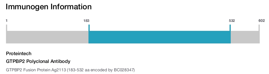GTPBP2 Polyclonal Antibody