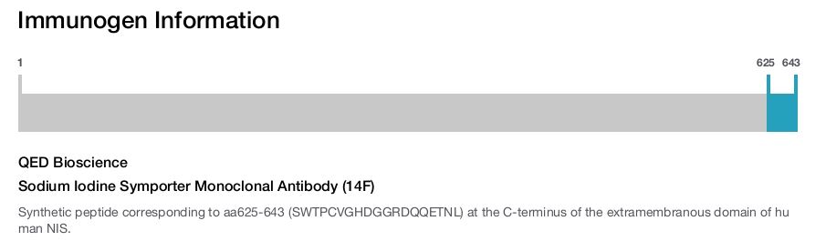 Sodium Iodine Symporter Monoclonal Antibody (14F)