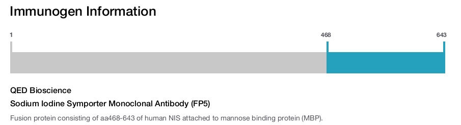 Sodium Iodine Symporter Monoclonal Antibody (FP5)