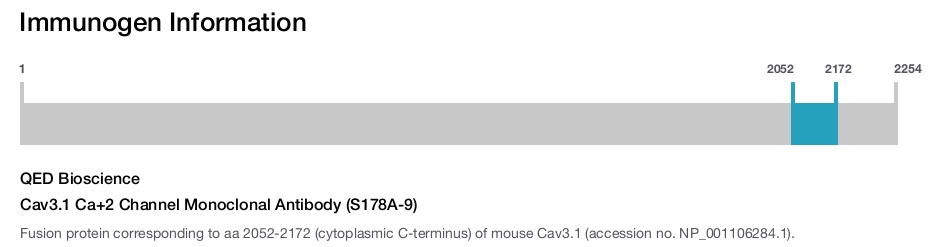 Cav3.1 Ca+2 Channel Monoclonal Antibody (S178A-9)