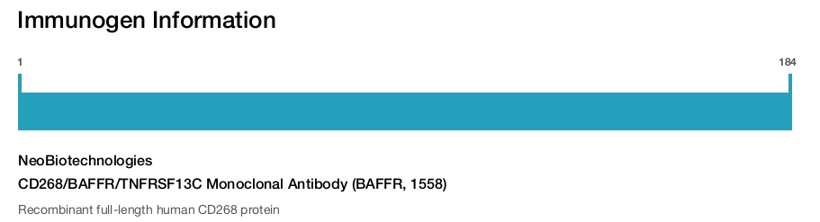 CD268/BAFFR/TNFRSF13C Monoclonal Antibody (BAFFR, 1558)
