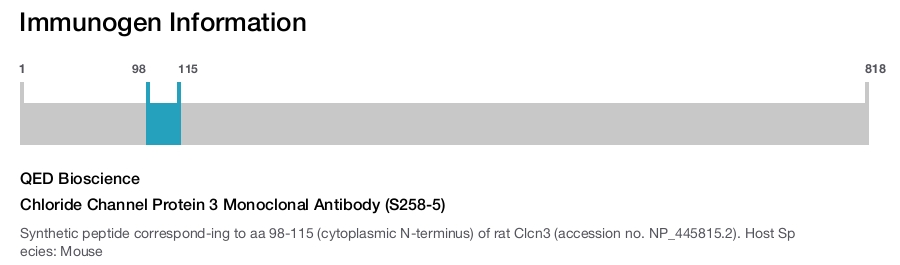 Chloride Channel Protein 3 Monoclonal Antibody (S258-5)