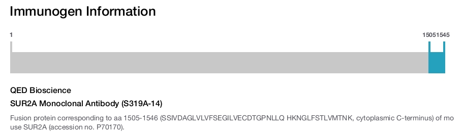 SUR2A Monoclonal Antibody (S319A-14)