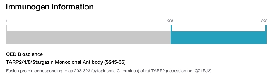 TARP2/4/8/Stargazin Monoclonal Antibody (S245-36)