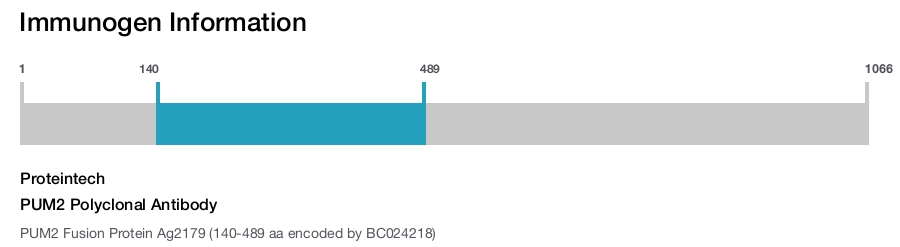 PUM2 Polyclonal Antibody