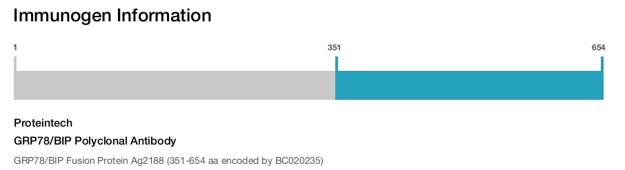 GRP78/BIP Polyclonal Antibody
