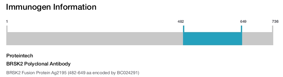 BRSK2 Polyclonal Antibody