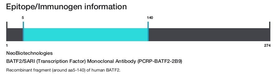 BATF2/SARI (Transcription Factor) Monoclonal Antibody (PCRP-BATF2-2B9)