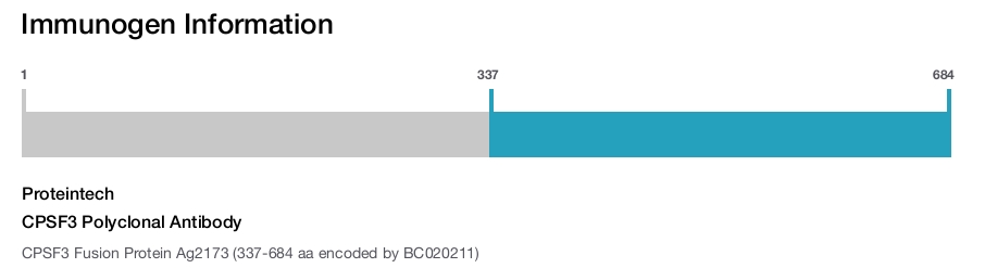 CPSF3 Polyclonal Antibody