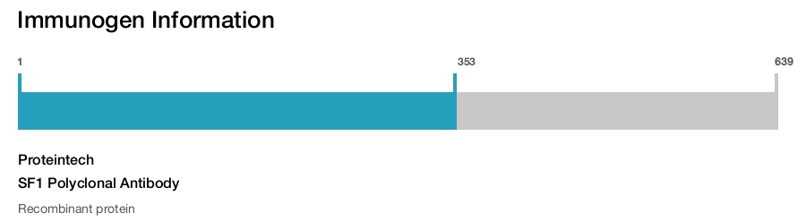 SF1 Polyclonal Antibody