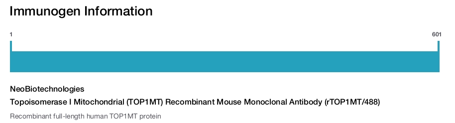 Topoisomerase I Mitochondrial (TOP1MT) Recombinant Mouse Monoclonal Antibody (rTOP1MT/488)