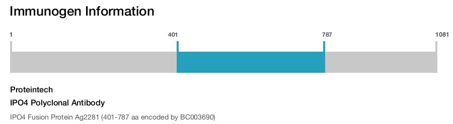 IPO4 Polyclonal Antibody