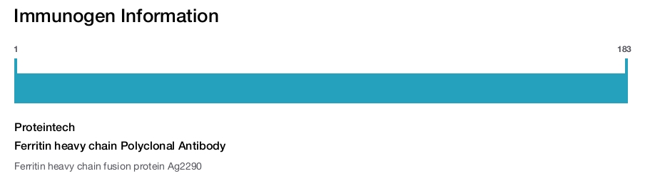Ferritin heavy chain Polyclonal Antibody