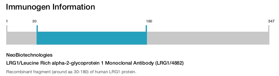 LRG1/Leucine Rich alpha-2-glycoprotein 1 Monoclonal Antibody (LRG1/4882)