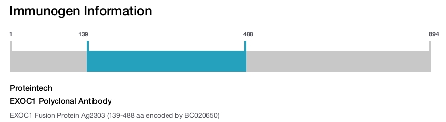 EXOC1 Polyclonal Antibody