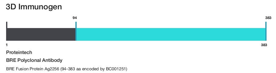 BRE Polyclonal Antibody