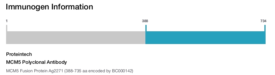 MCM5 Polyclonal Antibody