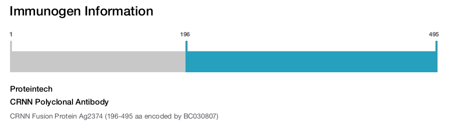 CRNN Polyclonal Antibody
