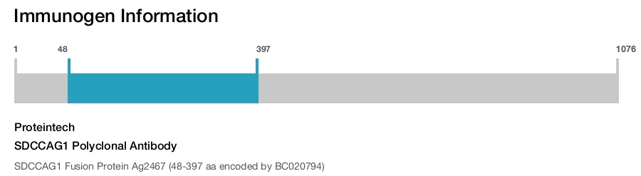 SDCCAG1 Polyclonal Antibody