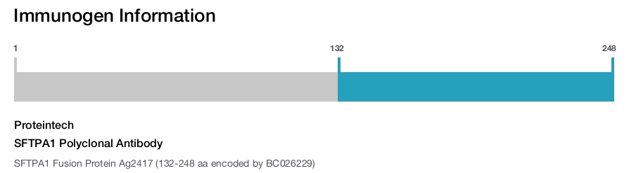 SFTPA1 Polyclonal Antibody