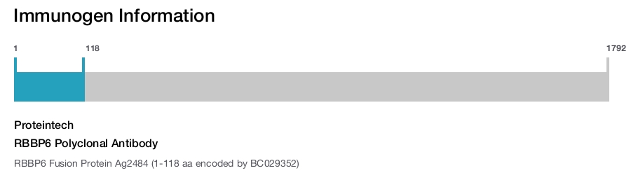 RBBP6 Polyclonal Antibody