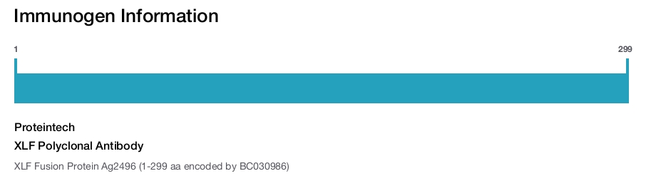 XLF Polyclonal Antibody