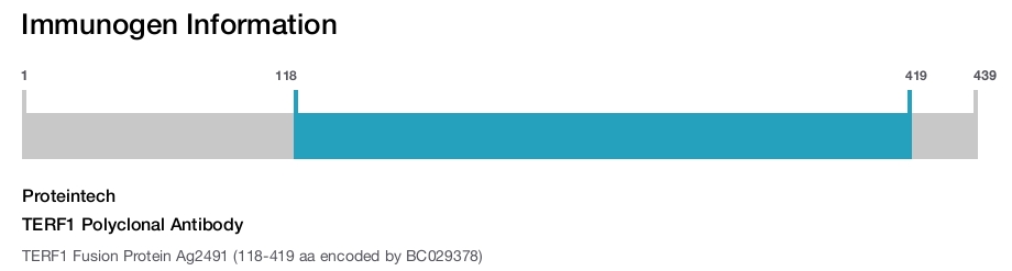 TERF1 Polyclonal Antibody