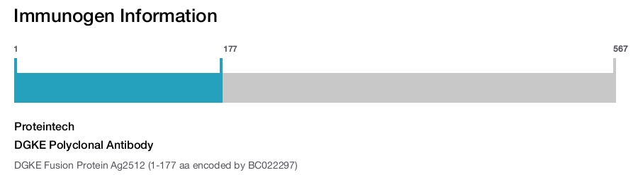 DGKE Polyclonal Antibody