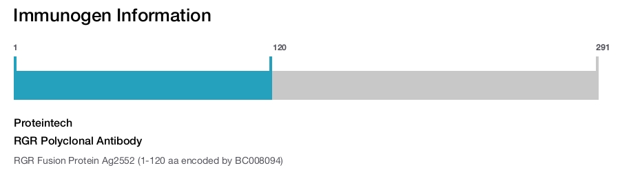 RGR Polyclonal Antibody