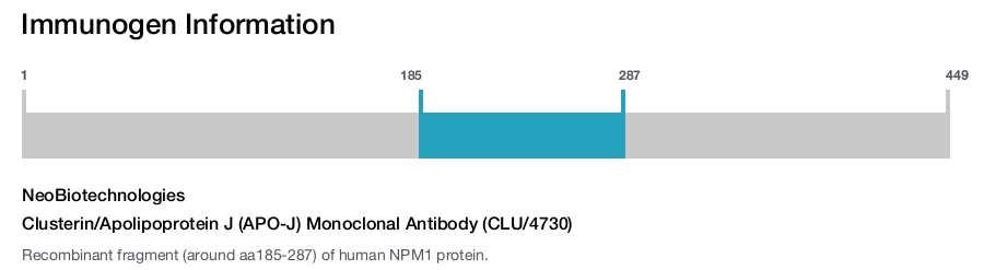 Clusterin/Apolipoprotein J (APO-J) Monoclonal Antibody (CLU/4730)