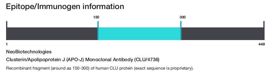 Clusterin/Apolipoprotein J (APO-J) Monoclonal Antibody (CLU/4736)
