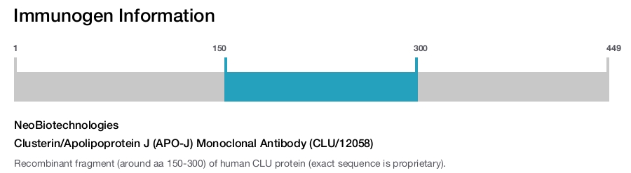 Clusterin/Apolipoprotein J (APO-J) Monoclonal Antibody (CLU/12058)