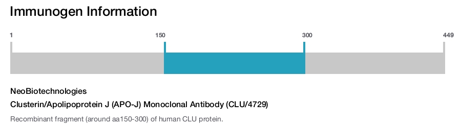 Clusterin/Apolipoprotein J (APO-J) Monoclonal Antibody (CLU/4729)