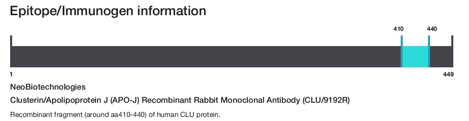 Clusterin/Apolipoprotein J (APO-J) Recombinant Rabbit Monoclonal Antibody (CLU/9192R)