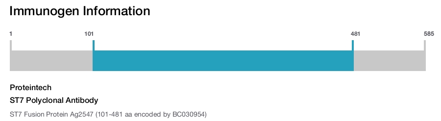 ST7 Polyclonal Antibody