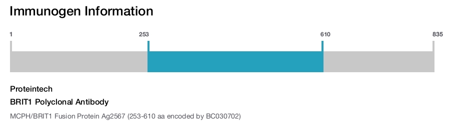 BRIT1 Polyclonal Antibody