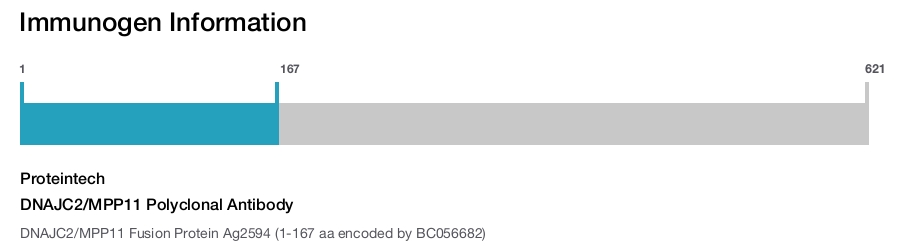 DNAJC2/MPP11 Polyclonal Antibody