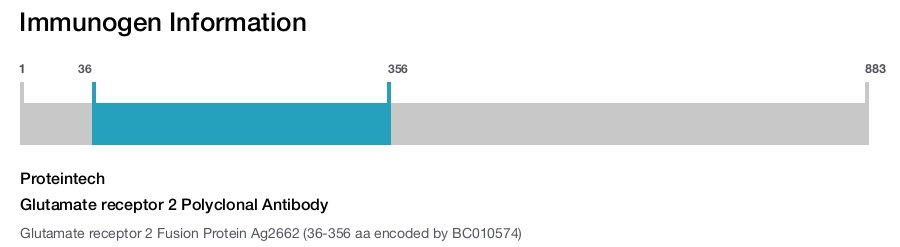Glutamate receptor 2 Polyclonal Antibody