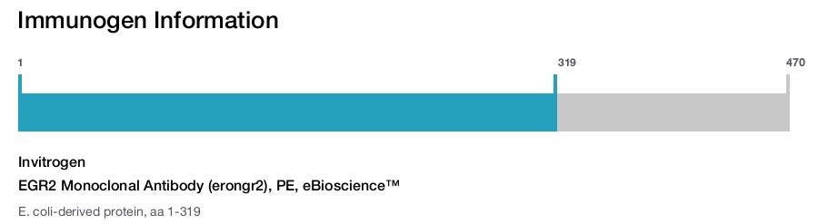 EGR2 Monoclonal Antibody (erongr2), PE, eBioscience™