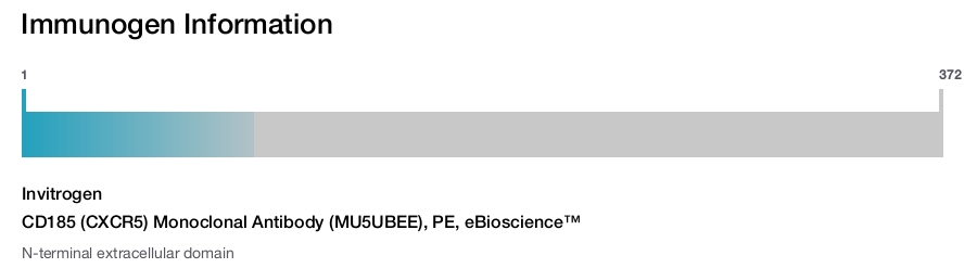 CD185 (CXCR5) Monoclonal Antibody (MU5UBEE), PE, eBioscience™